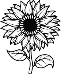 Close up of a tall mammoth sunflower head with bold layered petals isolated on white background isolated on transparent background