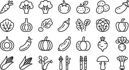 Collection of vegetable outline icons including carrot broccoli tomato potato eggplant lettuce onion salad pepper corn asparagus mushroom food vector
