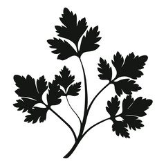 Silhouette of fresh parsley sprigs creating an appealing food ingredient on white background