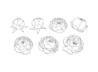 Abstract geometric whisk design with vibrant color accents