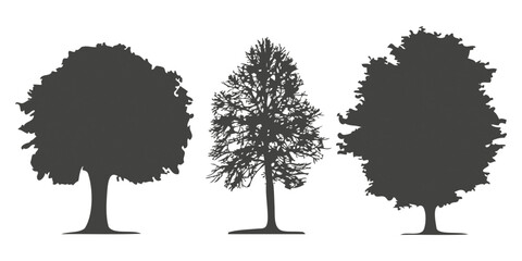 Architectural Drawings, Minimal style cad tree line drawing, Side view, set of section wetland forest outline for landscape design drawing Vector