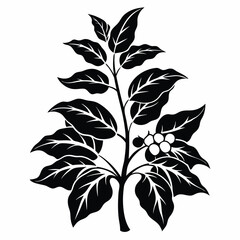 Black botanical silhouette shows detailed leaves and several berries elegantly arranged in a plant