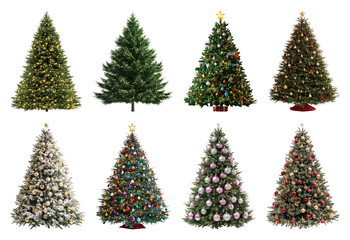 Fototapeta premium PNG Festive decorated Christmas trees collection, element set on transparent background