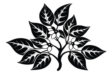 Black leaves and small flowers form an intricate pattern on a short plant stem