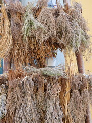 Bundles of dried herbs hanging on a wooden frame, focus on texture, color, and tradition. Copyspace.