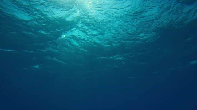 Bottom view on underwater sunlight shine under deep water with ripples on waves surface, View on sunlight from blue abyss, Slow motion of storm waves with sunbeams in the blue depth of Ocean
