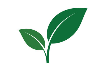 Fototapeta premium Illustration of two green leaves with white veins on a white background