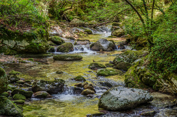 Over millions of years, the Orfento River (in the municipality of Caramanico Terme) has carved out a narrow gorge now covered by dense riparian vegetation featuring willows, ferns, and mosses.