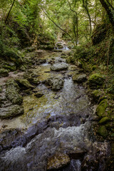Over millions of years, the Orfento River (in the municipality of Caramanico Terme) has carved out a narrow gorge now covered by dense riparian vegetation featuring willows, ferns, and mosses.