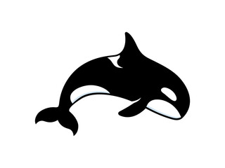 Jumping orca whale icon isolated on white background. Vector illustration