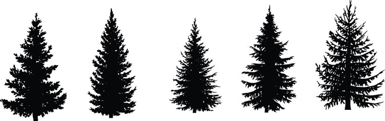 PrintConifer tree silhouettes, black pine shapes, forest vector illustration, evergreen outlines, botanical graphic, nature design, landscape element, tree icons