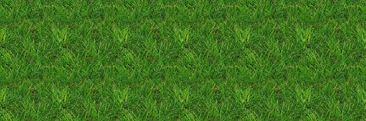 Realistic seamless pattern of green grass blades, natural photographic style, on a uniform background, concept for landscaping textures and eco-friendly backgrounds