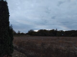 Einsames Feld am Abend