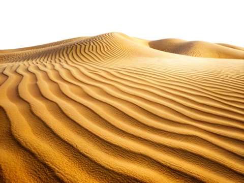 Golden sand dunes with rippled patterns, isolated on transparent background - Powered by Adobe