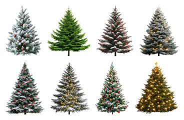 Obraz premium PNG Festive evergreen trees beautifully decorated, element set on transparent background