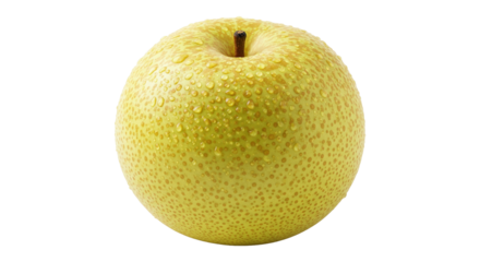 日本の梨（PNG・透過・素材）