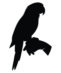 Parrot Silhouette Perched on Hand Vector Illustration.