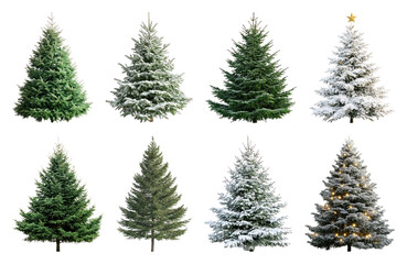Fototapeta premium PNG Variety of decorated Christmas trees, element set on transparent background