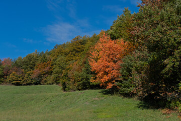Autumn in the mountains