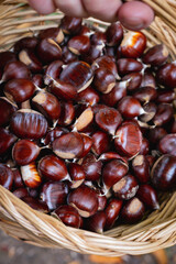 Fresh chestnuts in basket
