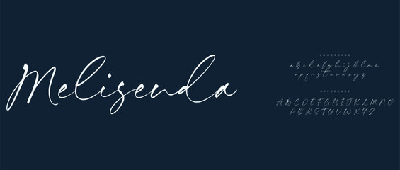 modern stylish small alphabet letter logo design