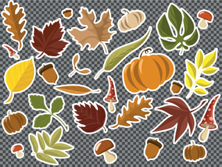 Big set of Colorful Autumn Leaves and Acorns Stickers on Orange Background Fall Season Vector Illustration on transparent background