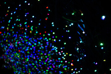 Christmas Lights at Mozirski Gaj Park, Slovenia – Winter Night Illumination