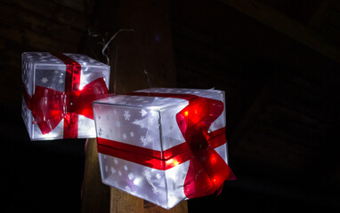 Christmas Lights at Mozirski Gaj Park, Slovenia – Winter Night Illumination © Darinko