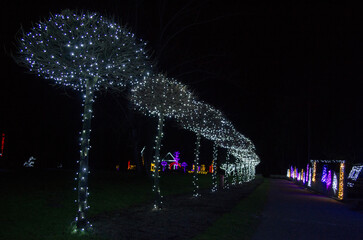 Christmas Lights at Mozirski Gaj Park, Slovenia – Winter Night Illumination © Darinko