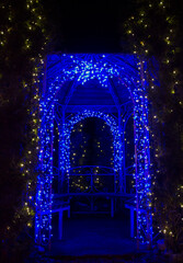 Christmas Lights at Mozirski Gaj Park, Slovenia – Winter Night Illumination © Darinko