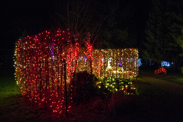 Christmas Lights at Mozirski Gaj Park, Slovenia – Winter Night Illumination © Darinko