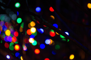 Christmas Lights at Mozirski Gaj Park, Slovenia – Winter Night Illumination © Darinko