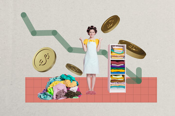 Zine 3d full image photo collage of puzzled housemaid girl stand arrow decline regress economy coin...