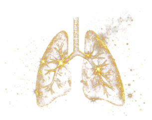 A lung logo fireworks christmas outdoors.