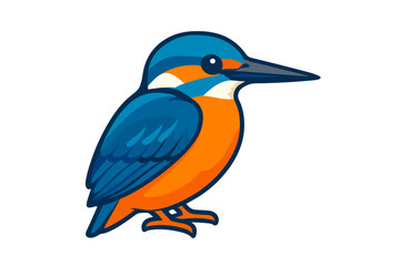 Vector Illustration of a Kingfisher Bird