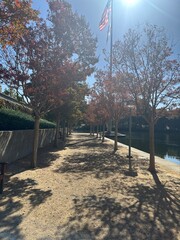 Autumn landscape near city lake and walkway