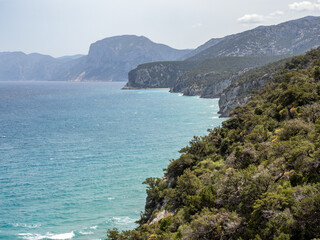Sardinia’s cliffs and forest near Cala Fuili