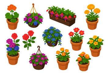 Fototapeta premium Bright Floral Vectors. Isometric vector illustration set Various Flowers: potted geranium, hanging petunia, balcony fuchsia,