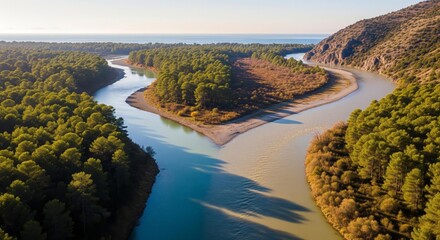 Aerial view of a river splitting into two, flowing through a lush green forest, meeting the ocean.