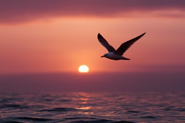 Fototapeta premium Silhouette of bird in flight at sunset over ocean horizon