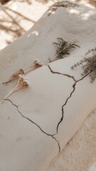 Nature's resilience cracked earth and dried flora outdoor setting still life natural beauty close-up view