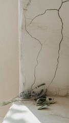 Botanical arrangement minimalist interior photography natural light close-up serenity