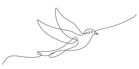 Continuous one line drawing of a bird in flight with flowing tail feathers art vector © Digital Illustration
