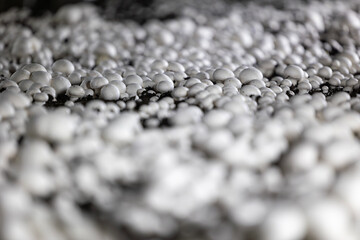 A selective focus shot of fresh white button mushrooms growing on a commercial farm. This industrial-scale operation highlights the process of modern fungi cultivation.