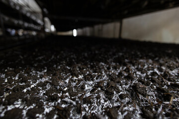 Compost substrate with visible mycelium growth, the initial stage of mushroom cultivation on a farm. This highlights the controlled process of modern fungi farming before the mushrooms emerge.