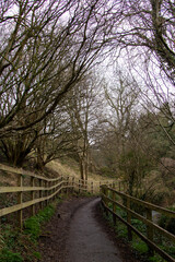 Corfe Castle in Dorset in England