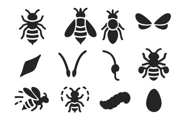 Fototapeta premium Bee Anatomy Icons. Solid style icons of Bee anatomy and behavior: worker bee, queen bee, drone bee, bee wings, stinger, antennae,