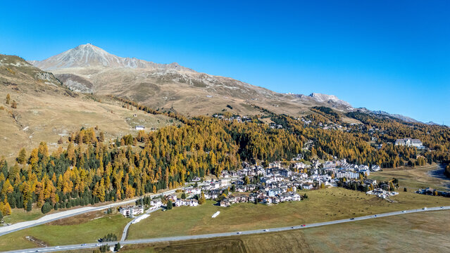 Drohnenaufnahme &uuml;ber dem Engadin im goldenen Herbst: Golden leuchtende L&auml;rchen umrahmen ein Bergdorf und schroffe Alpen, mit klarer Sicht auf Berge und Tal.