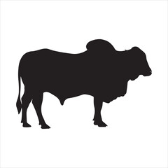 Brahman Cow Silhouette, Brahman Bull silhouette vector, cow icon
