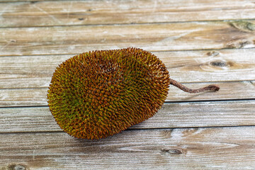 Whole tropical exotic ripe jackfruit